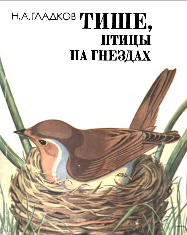 Дерево с гнездом в нарисованных картинках (10 фото)