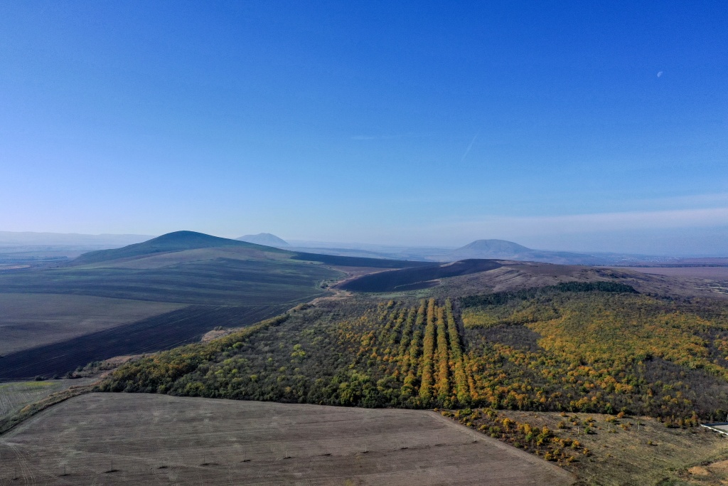 DJI_0169.jpg