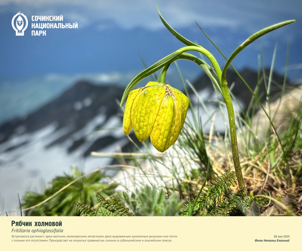 Выставка Первоцветы1-018.jpg